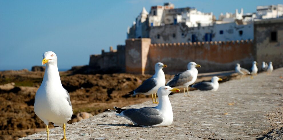 essaouira, morocco, africa