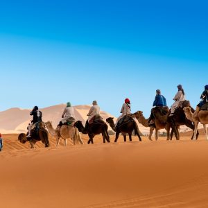 desert, the sand dunes, caravan