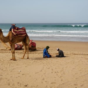 A scenic beach in Agadir, Morocco with camels and people by the ocean. Perfect vacation spot.